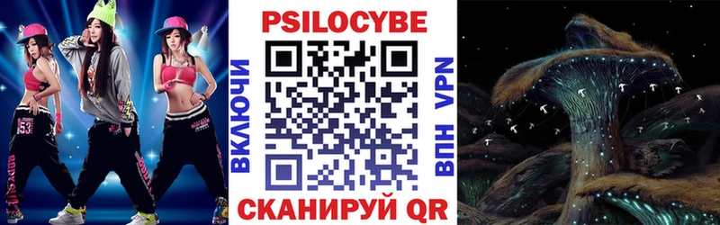 Купить закладки  Тбилисская  Галлюциногенные грибы MAGIC MUSHROOMS 
